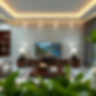 Magnificent Duvara Monte TV Üniteleri: Modern Tasarım ve Fonksiyonellik