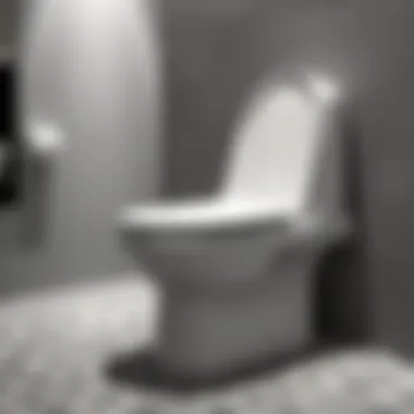 Current trends in family toilet seat designs