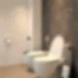 Elegant family toilet seat design showcasing modern aesthetics