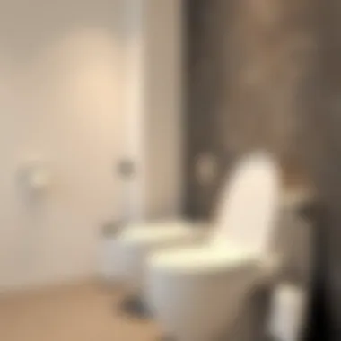 Elegant family toilet seat design showcasing modern aesthetics