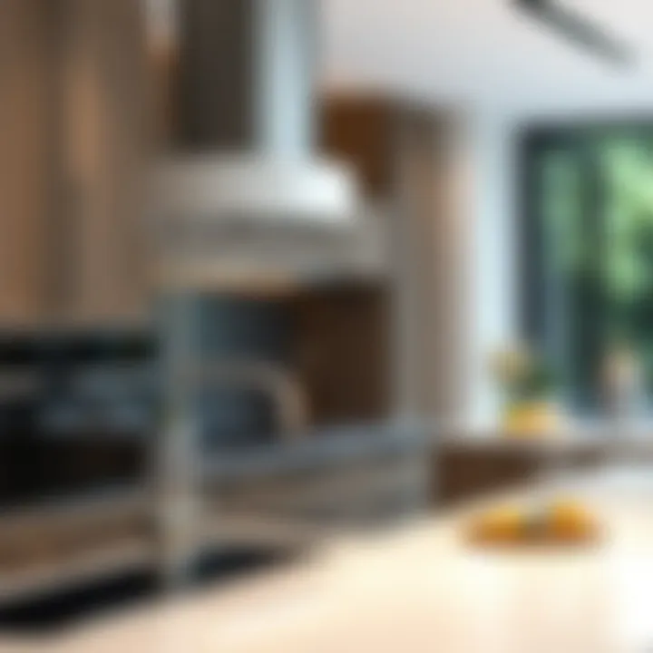 Installation of an automatic siphon system in a contemporary kitchen