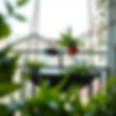 Modern design of a balcony hanging table with plants