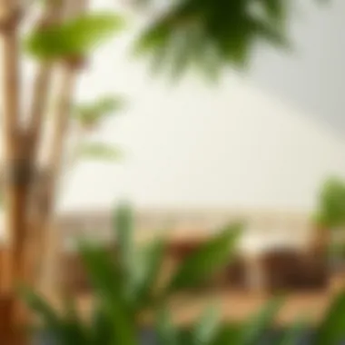 Bambu Baharatlık Takımının Estetik ve Fonksiyonelliği Summary Bambu Baharatlık Takımının Estetik ve Fonksiyonelliği Summary