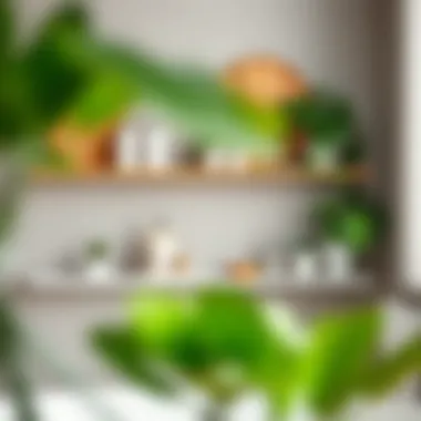 Stylish decorative shelves filled with bath essentials and plants