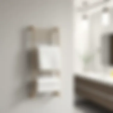Elegant wall-mounted towel rack in a modern bathroom setting