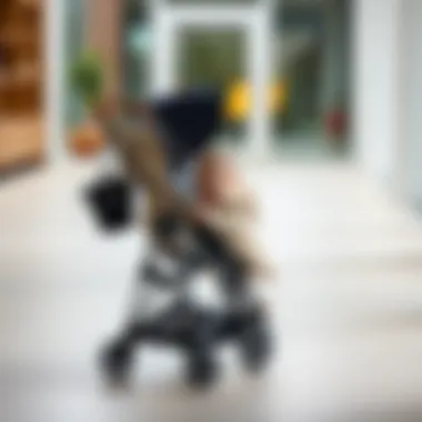 Baby practicing walking with a stroller