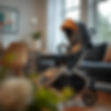 Safety features of a baby walking stroller