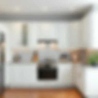 Elegant kitchen with white balloon cabinets showcasing modern design.
