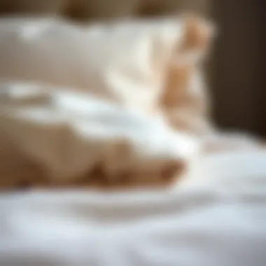 Close-up of high-quality fabric used in duvet sets