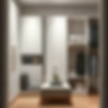 Trendy wardrobe organizing solutions for efficient space use