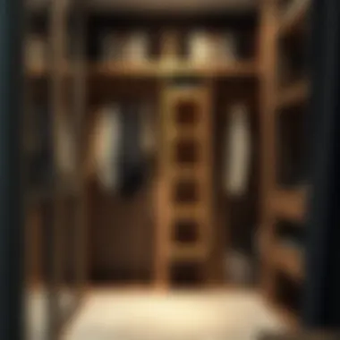 Elegant Closet Organization Elegant closet with a well-organized hanging rod