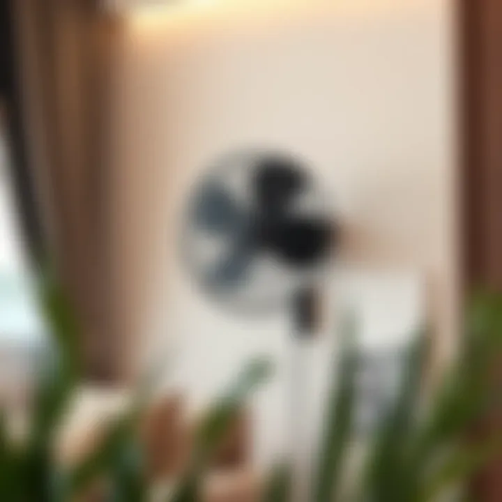 Stylish wall fan complementing contemporary decor