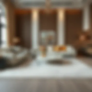 Elegant Rug Selection Elegant rug selection in a stylish living room