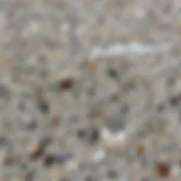 Elegant granite color showcasing its unique texture