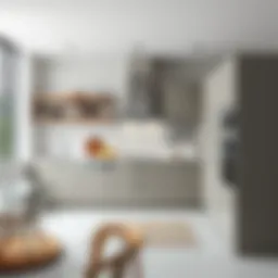 Sleek modern kitchen layout showcasing innovative storage solutions