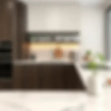 Innovative Accessories for Optimal Space Innovative accessories optimizing kitchen countertop space.