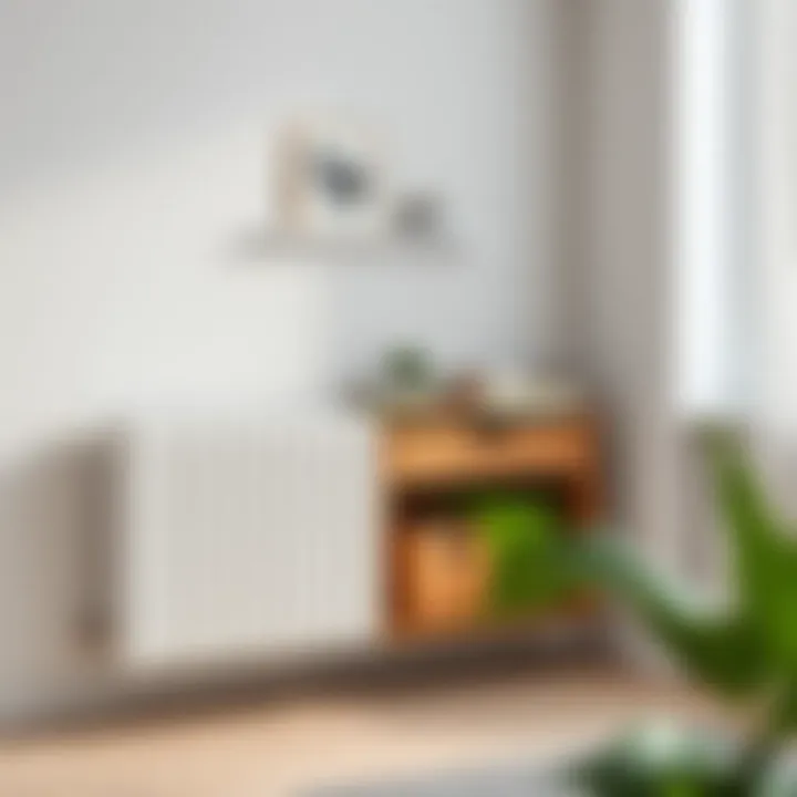 Functional radiator cover with storage solutions