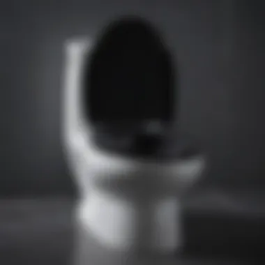 Durable materials used in black toilet seats