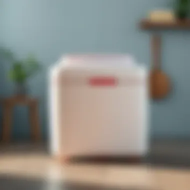 Maintenance Tips for the Madame Coco Freezer Container Care tips for maintaining the Madame Coco freezer container