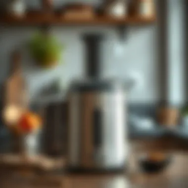 Maintenance Tips for Your Juicer Maintenance tips for a stainless steel juicer
