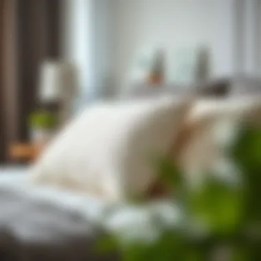 Insights from Satisfied Users User feedback on Migros visco pillow