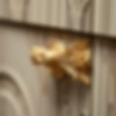 Close-up of intricate gold cabinet pull design