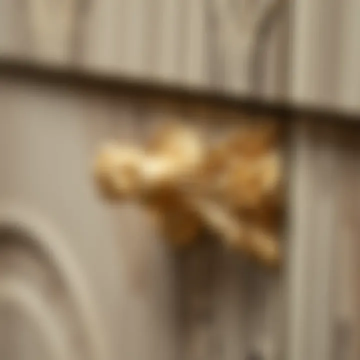 Close-up of intricate gold cabinet pull design