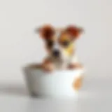 Elegant porcelain dog bowl showcasing exquisite design