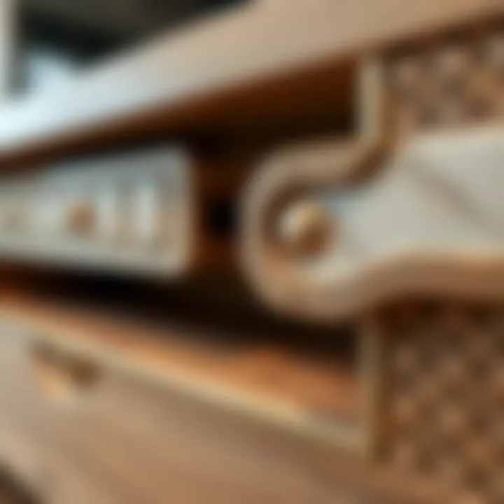 Close-up of Rani TV unit detailing and materials