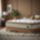 Luxurious double visco mattress showcasing its material