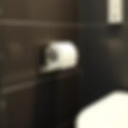 Modern bathroom design featuring a stylish toilet paper holder